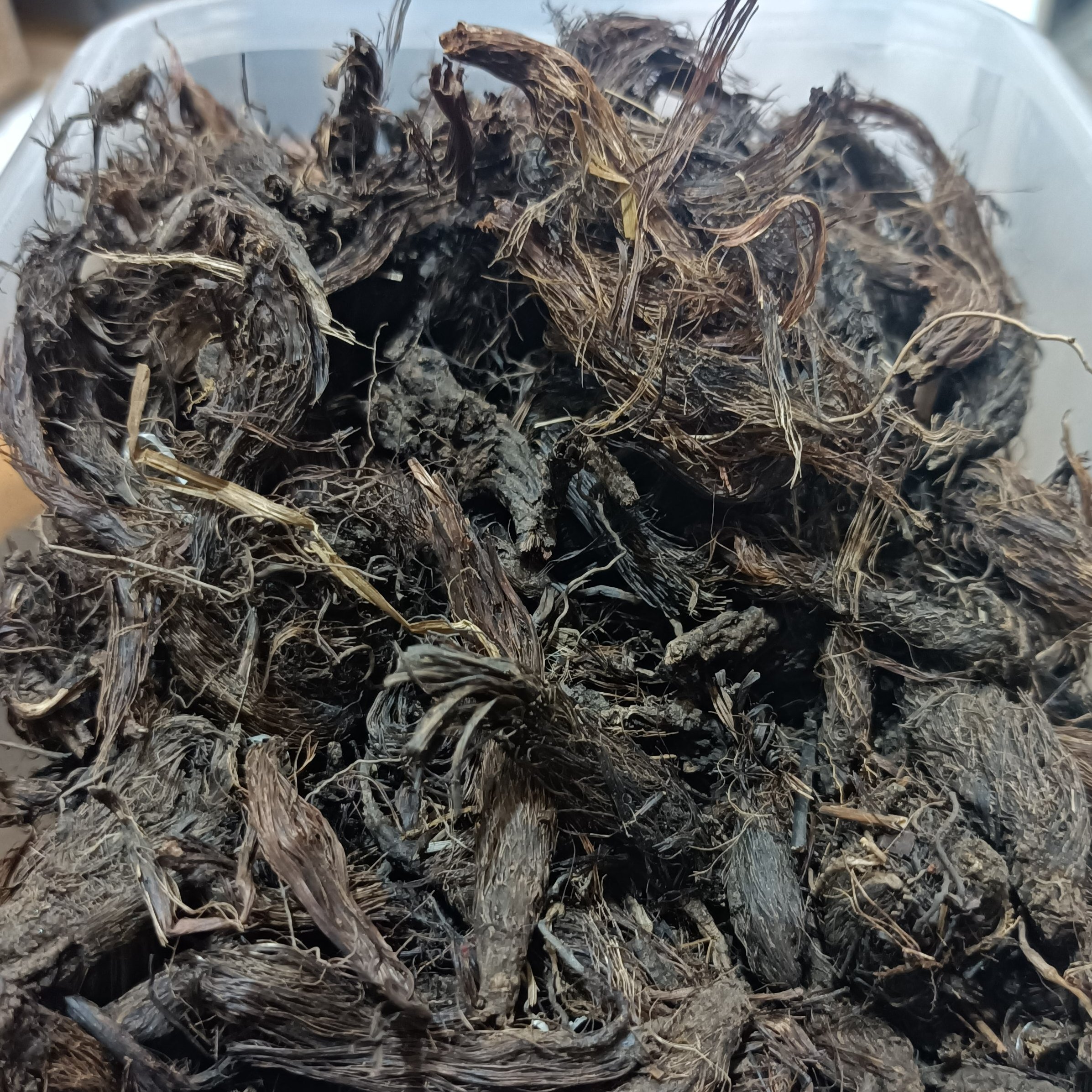 سنبل الطیب درجه یک 75 گرم