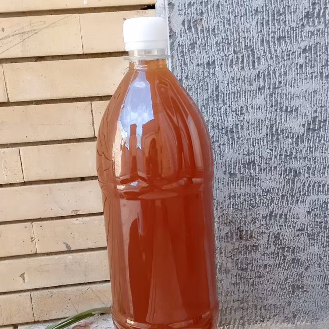 سرکه خانگی انگور گلپر
وزن 1000 گرم
به صورت خانگی و کاملا طبیعی و صدرصد خالص تهیه میشود