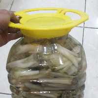 ترشی کنگراعلا ده کیلویی