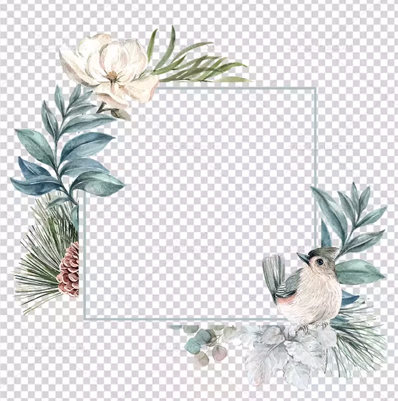 عکس PNG کادر گل | گرافیک با طعم تربچه