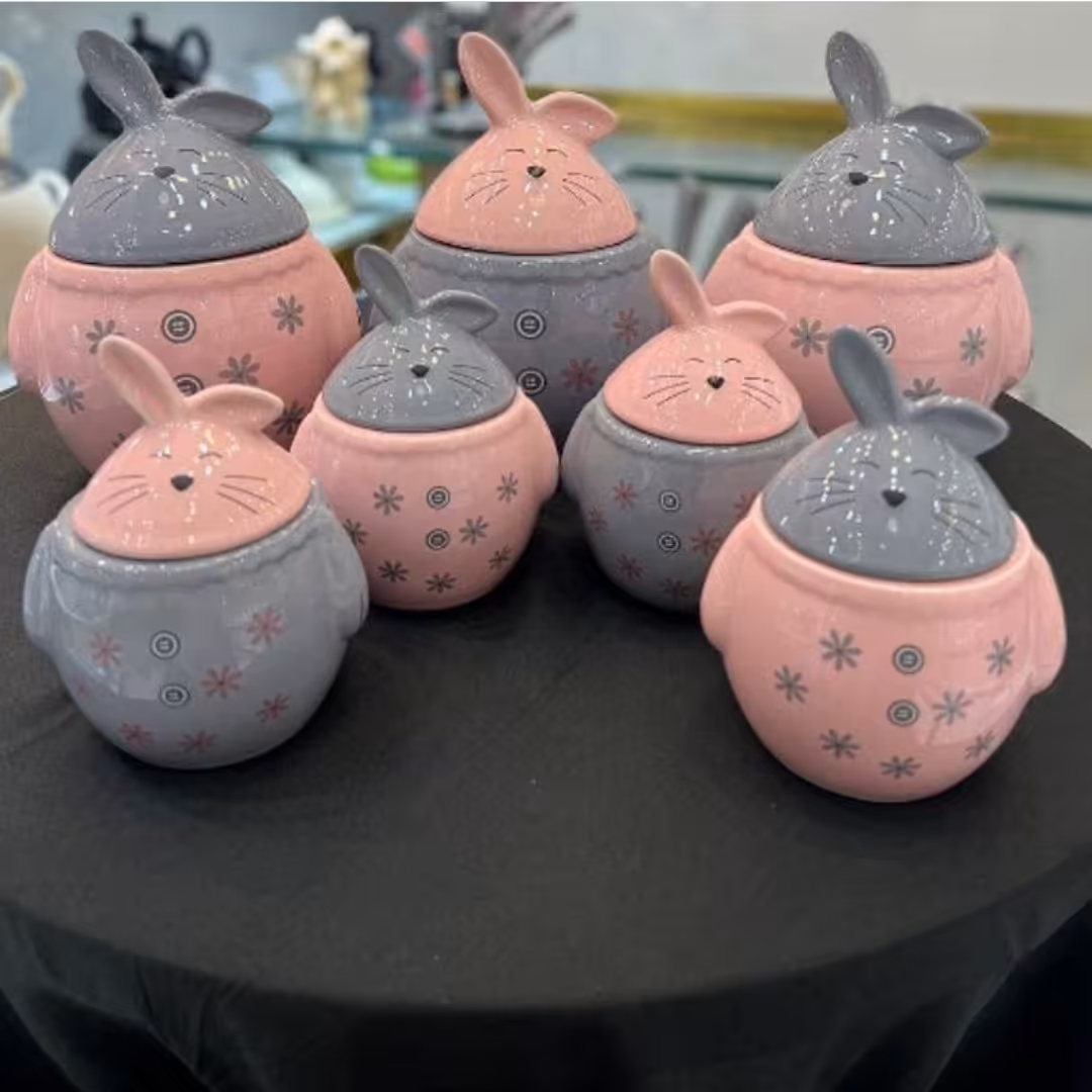 سرویس پاسماوری طرح خرگوش