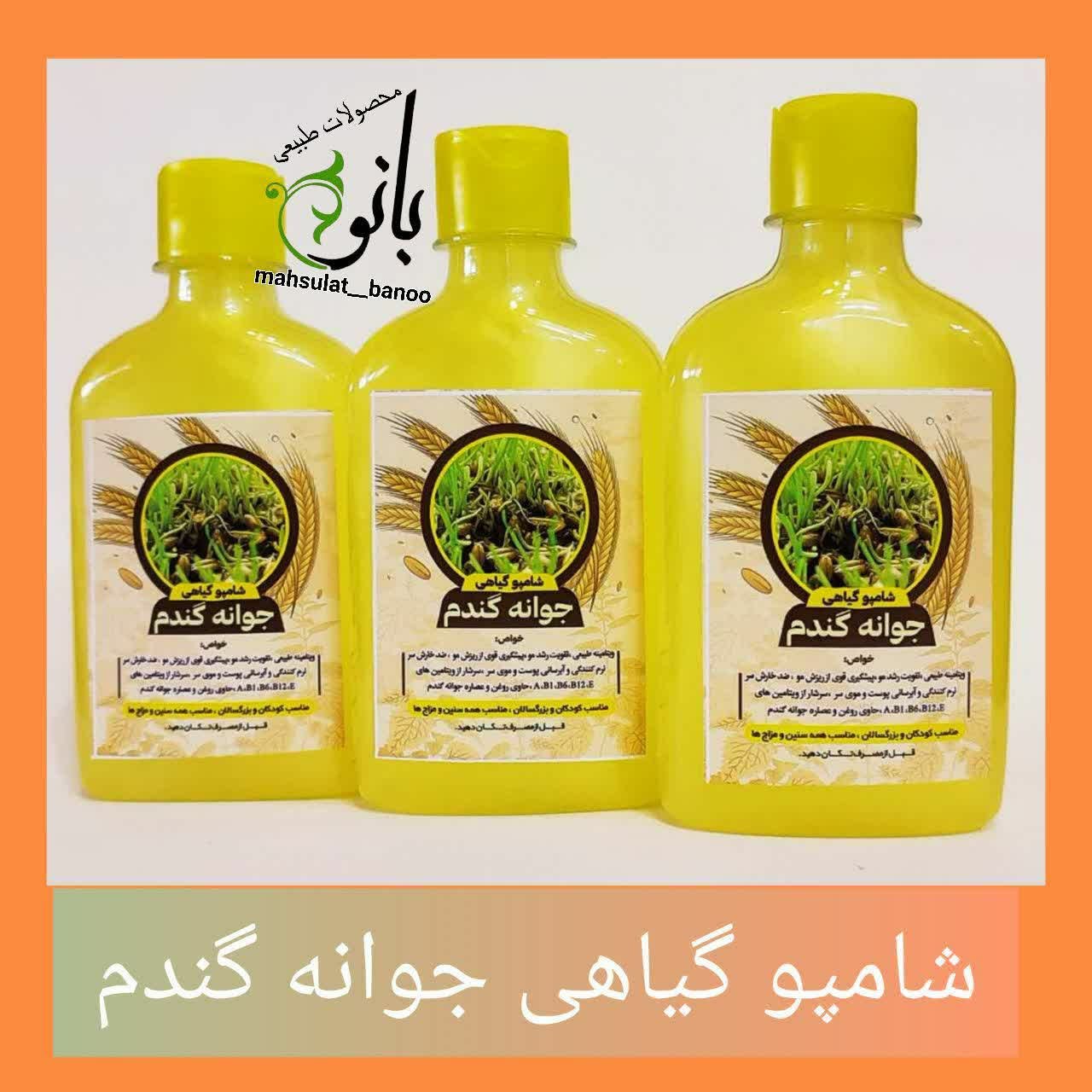 شامپو جوانه گندم
