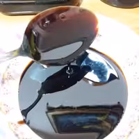 رب انار خانگی شهرضا یک کیلویی