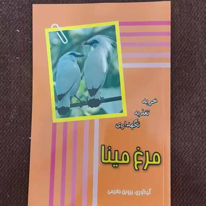 کتاب مرغ مینا شامل خرید،تغذیه ونگهداری