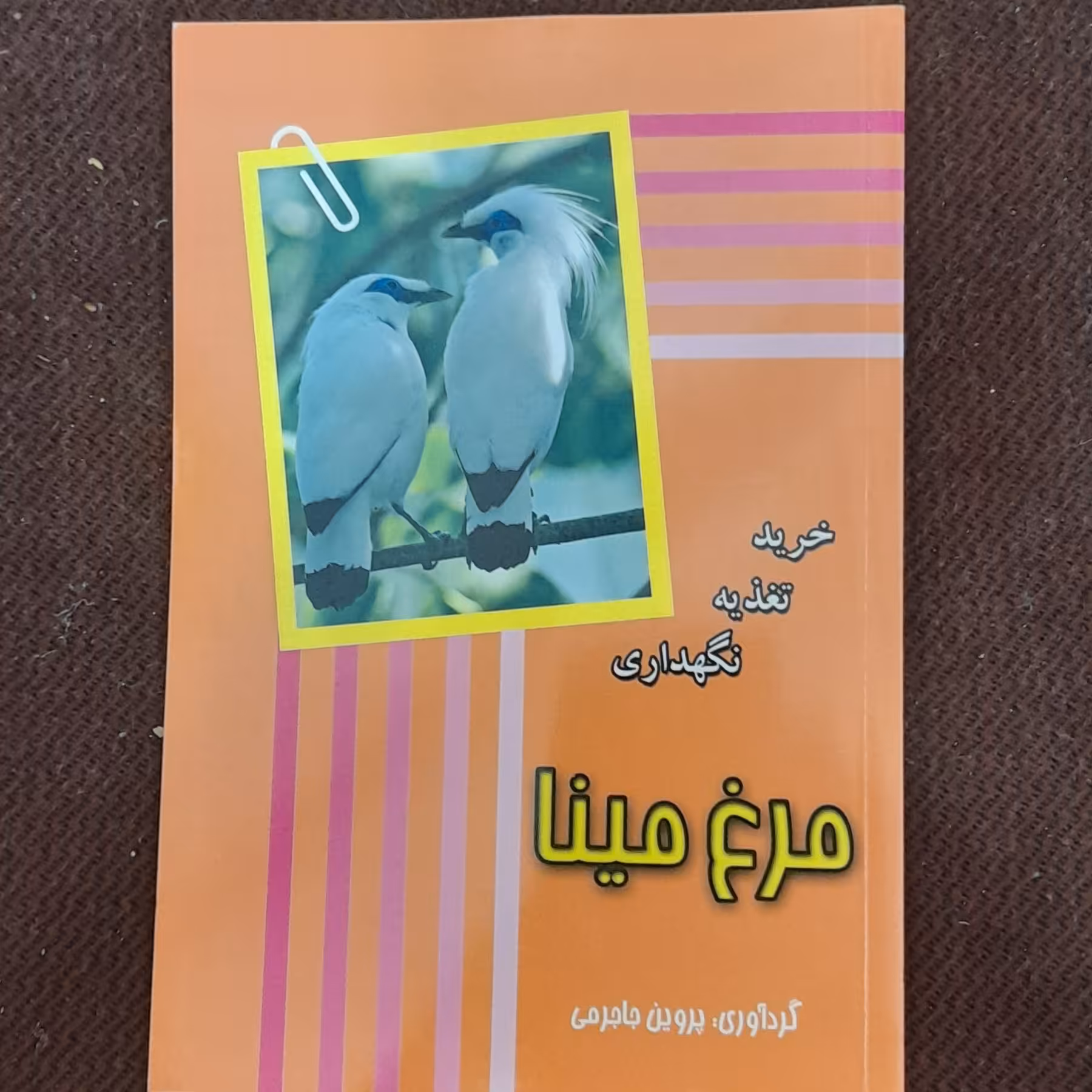 کتاب مرغ مینا شامل خرید،تغذیه ونگهداری