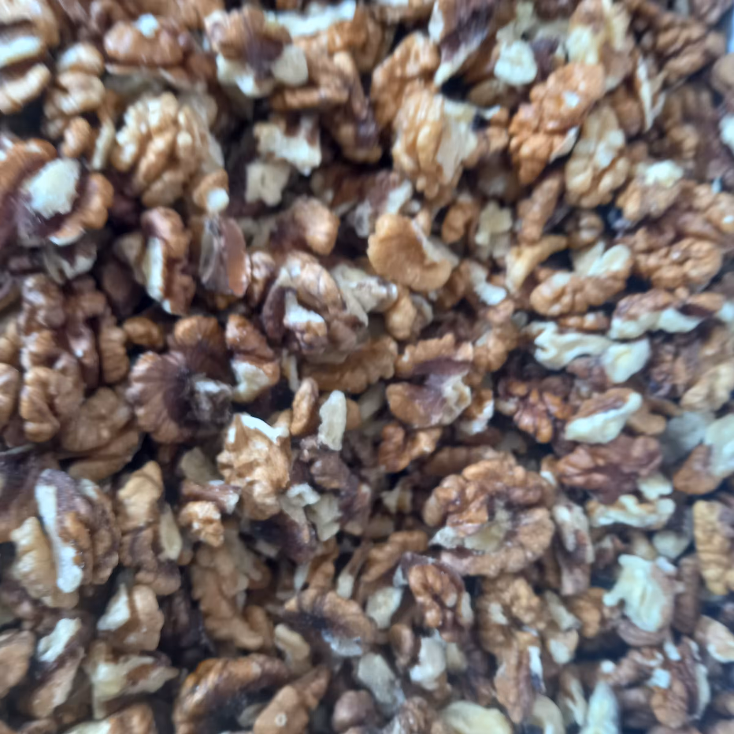 مغز گردو فسنجانی شکری