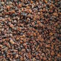 کشمش اعلا بدون روغن(500گرمی)