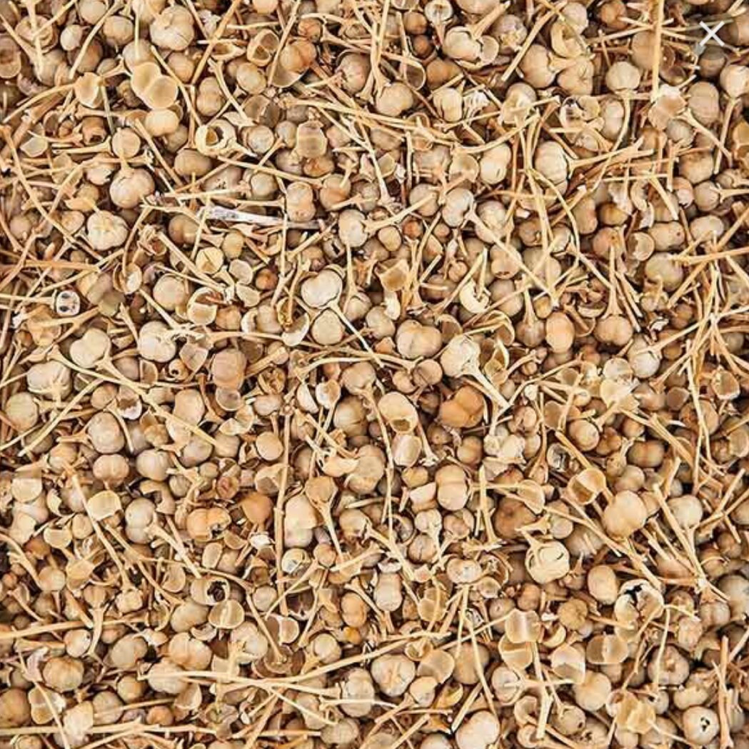 اسپند نخودی یا اسفند قپه یا سپند سالم ( 250 گرم )