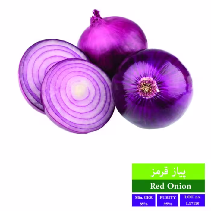 بذرپیاز قرمز بذر طلایی رویان 