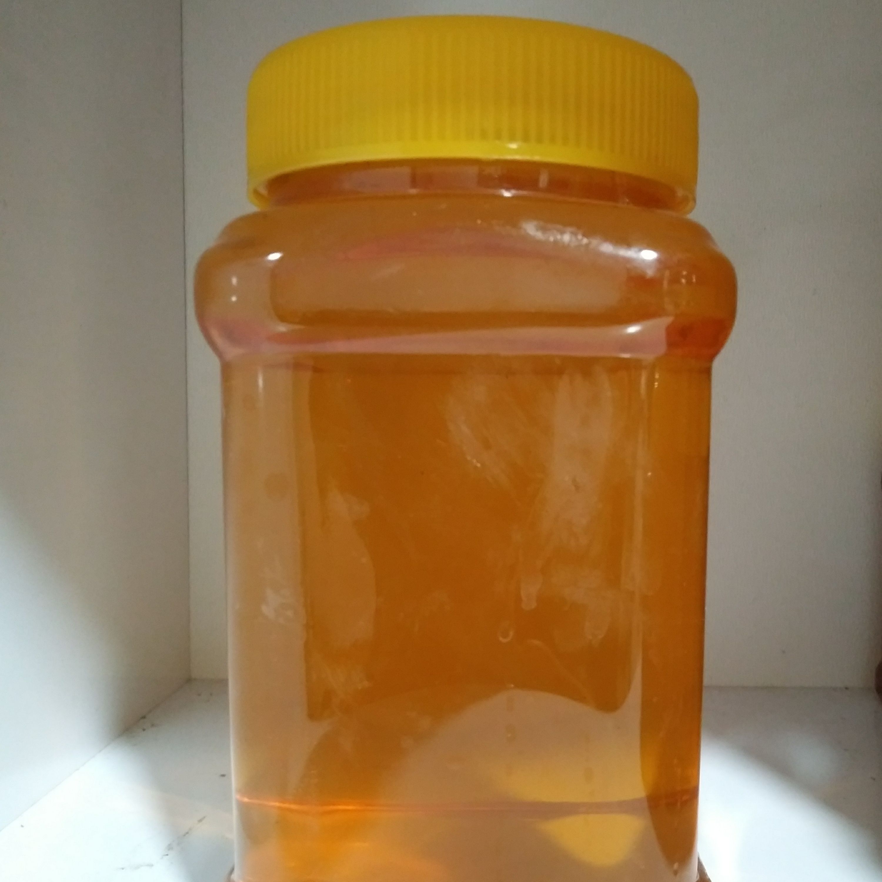 عسل خارشتر طبیعی عسل خار شتر(نیم کیلوئی)