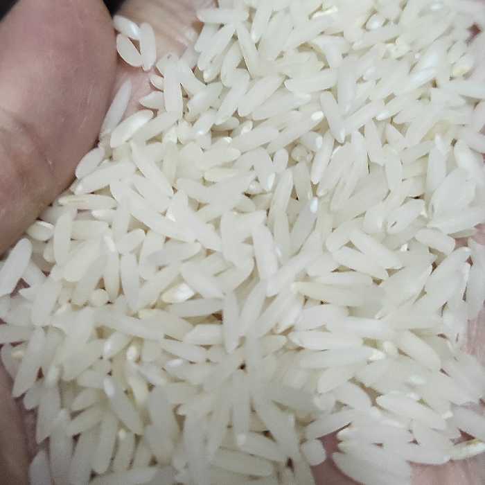 برنج طارم کشت دوم فریدونکنار  بسیار درجه  1 و فوق اعلا و عطر فوق العاده1 کیلوگرمی