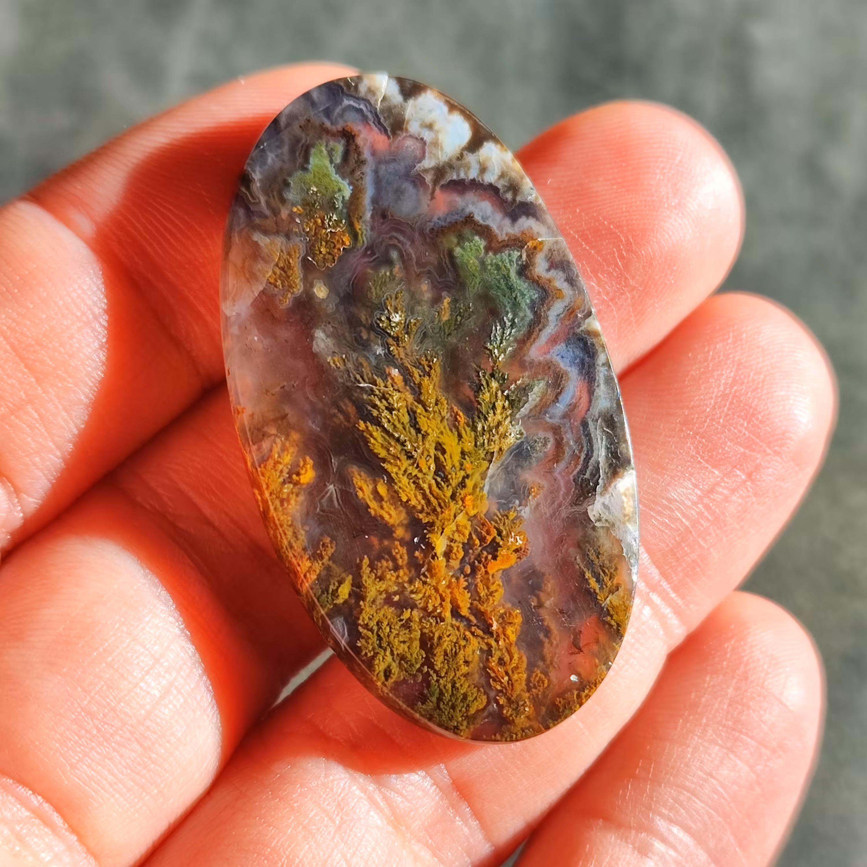 شجر ناب سبز و طلایی سه قلعه فوق کلکسیونی