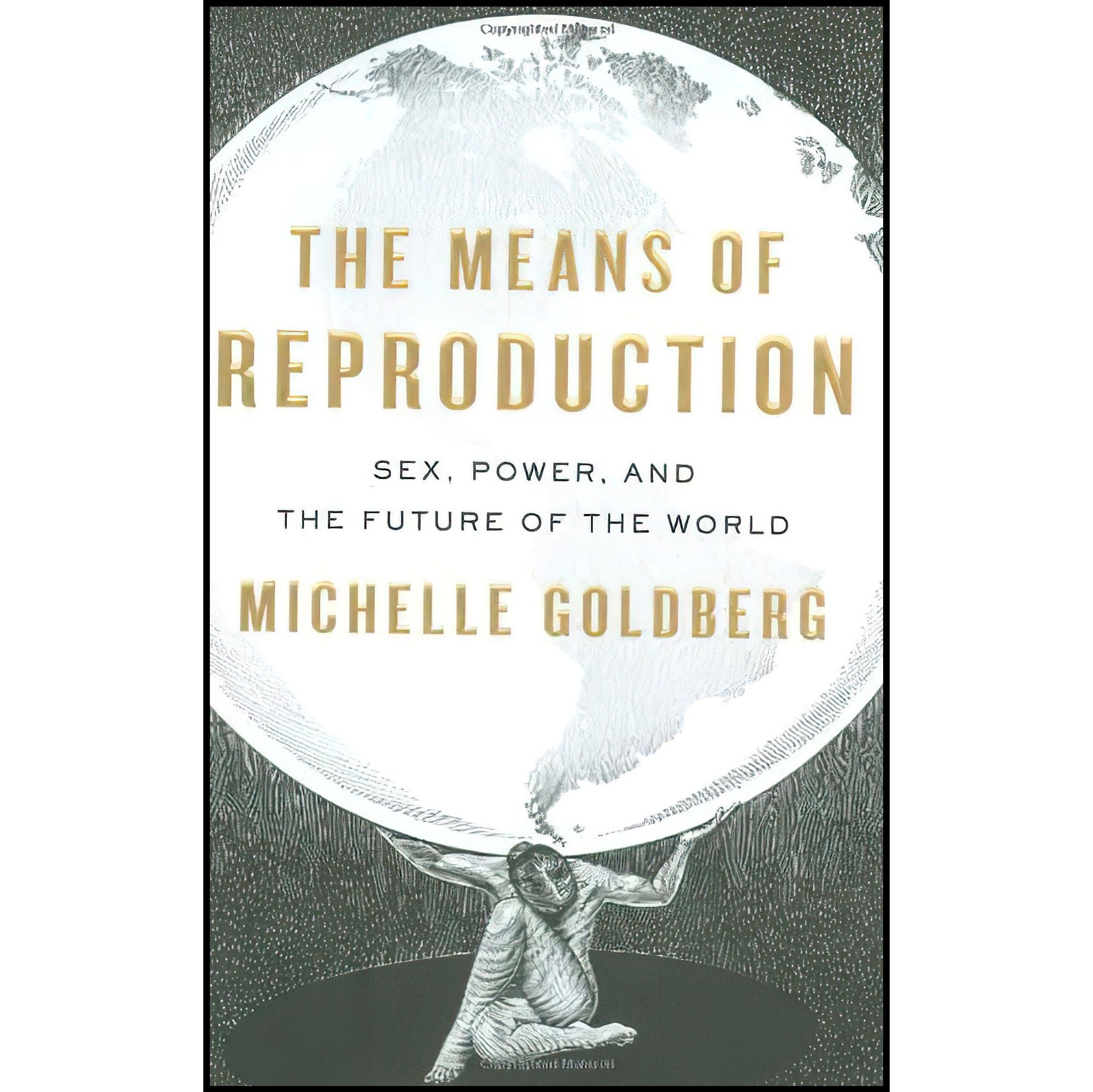 کتاب زبان اصلی The Means of Reproduction اثر Michelle Goldberg
