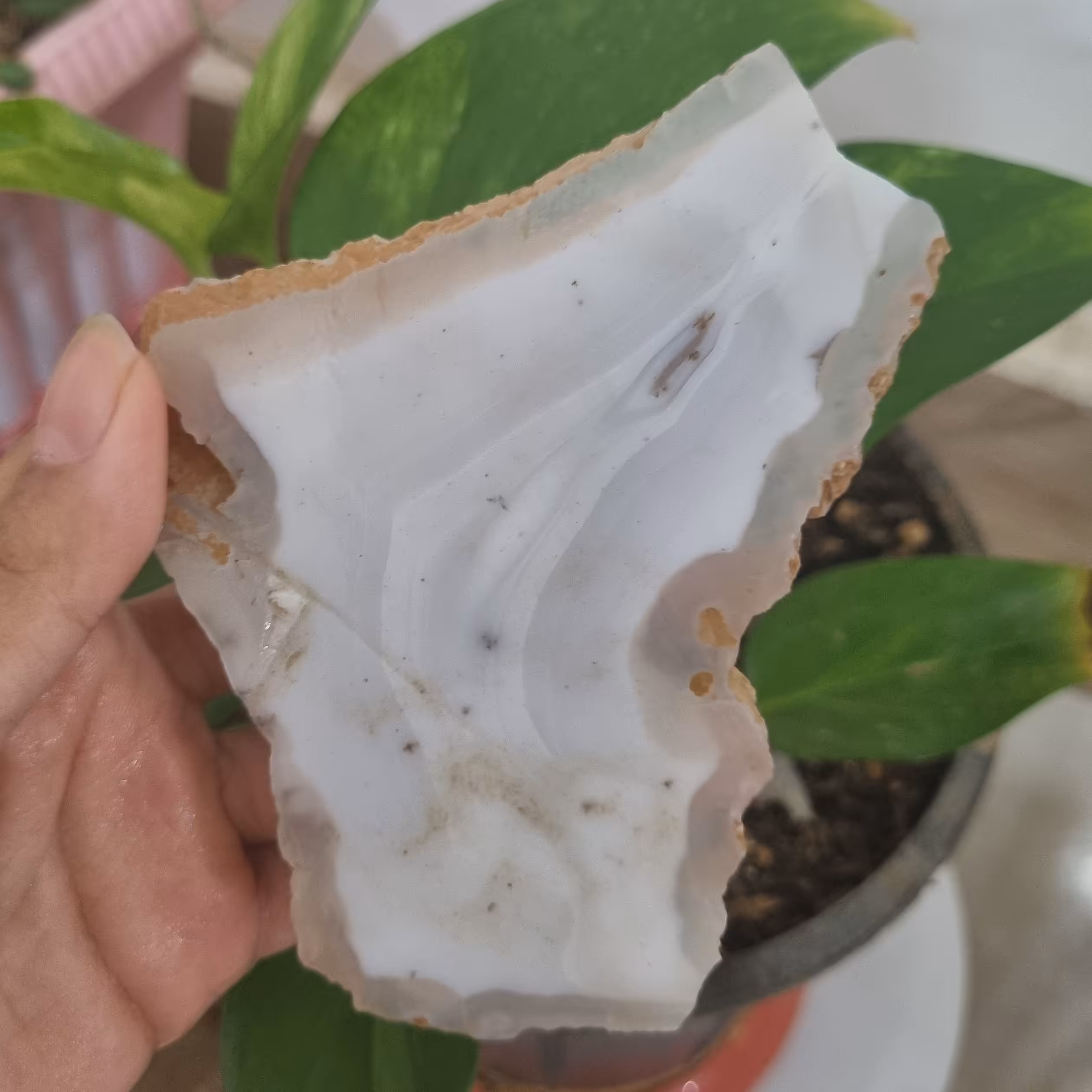 سنگ سلیمانی کد62