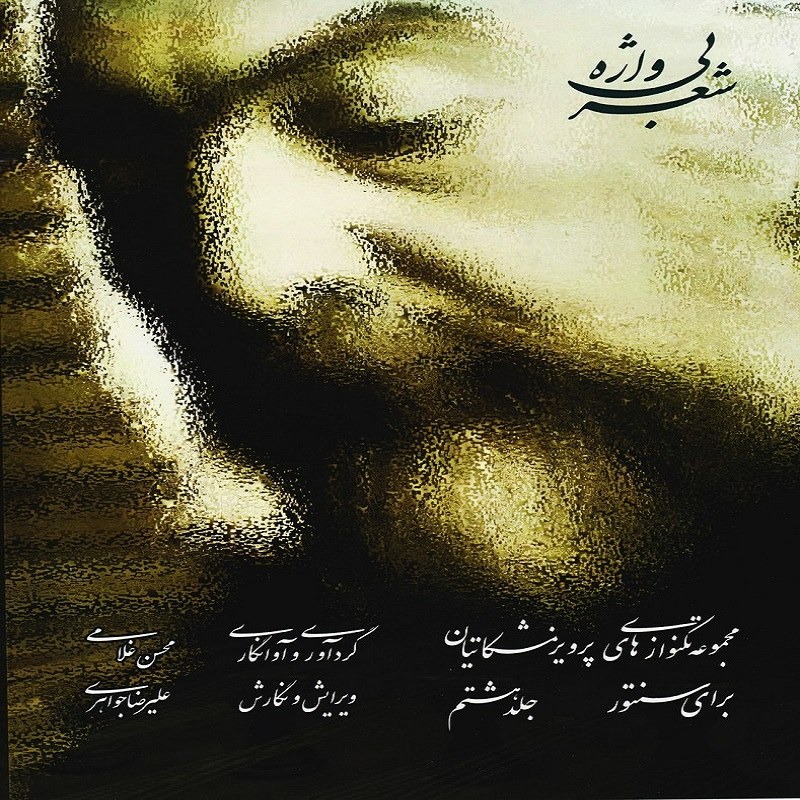 کتاب شعر بی واژه (جلد هشتم) مجموعه تکنوازی های پرویز مشکاتیان برای سنتور