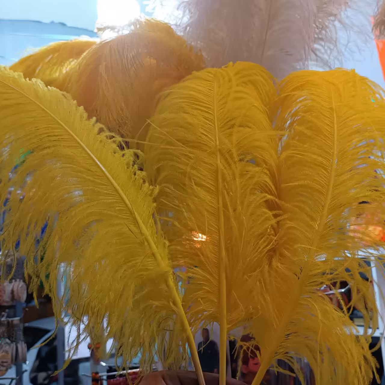 پر علامت سایز بزرگ 1 عددی