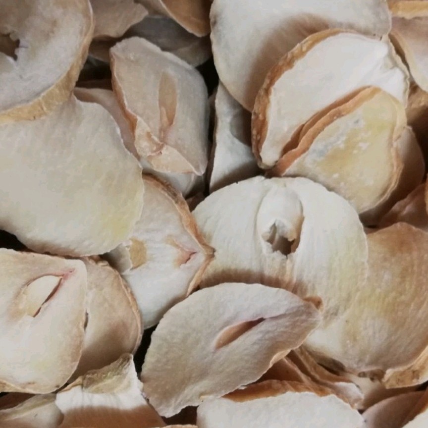 موسیر پلاک یا موسیر پلاکی یک کیلویی عطاری دستانی 