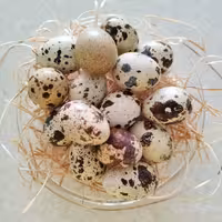 تخم بلدرچین  500گرمی