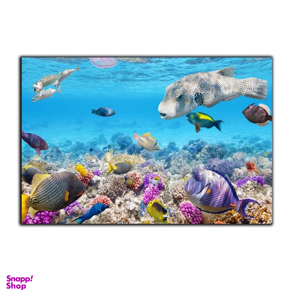 تابلو شاسی بکلیت طرح اقیانوس و ماهی زینتی مدل SH-7497