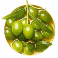 زیتون میشن اصلاح شده امریکایی. ارسال پسکرایه