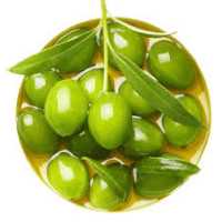 زیتون میشن اصلاح شده امریکایی. ارسال پسکرایه