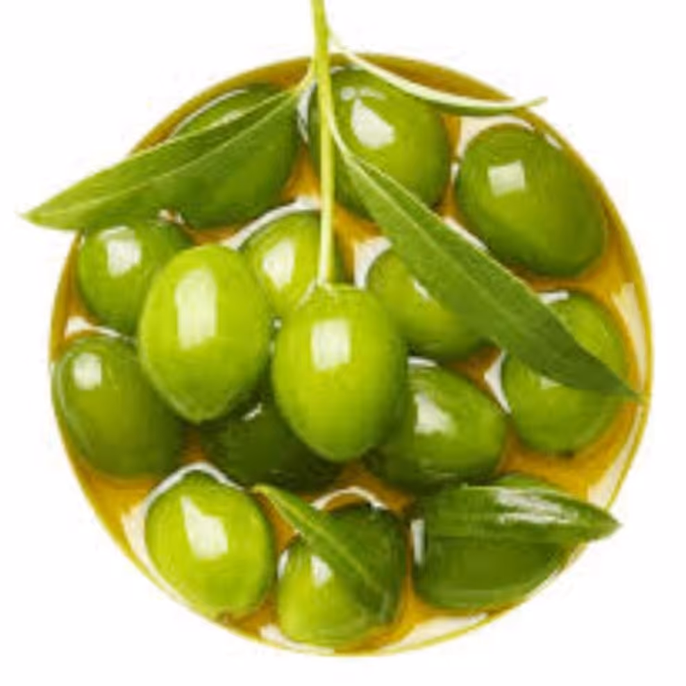 زیتون میشن اصلاح شده امریکایی. ارسال پسکرایه