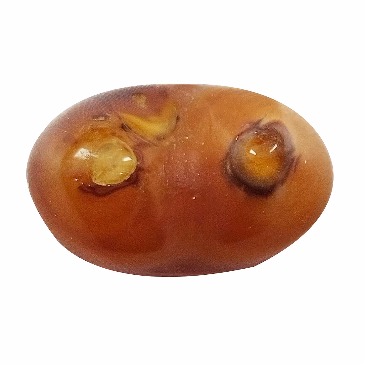 سنگ بابا قوری سلین کالا کد 11839878