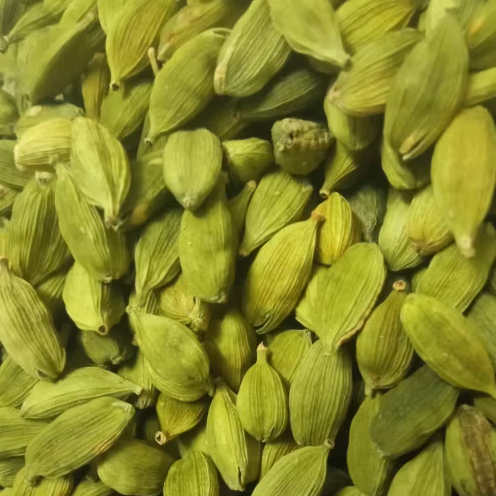 هل درجه یک هندی بسته ده گرمی. عمده هم فروش میره