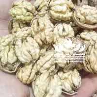 گردو ژنوتیپ رویال تیپ 7 (هزینه ارسال به عهده مشتری ،پسکرایه )