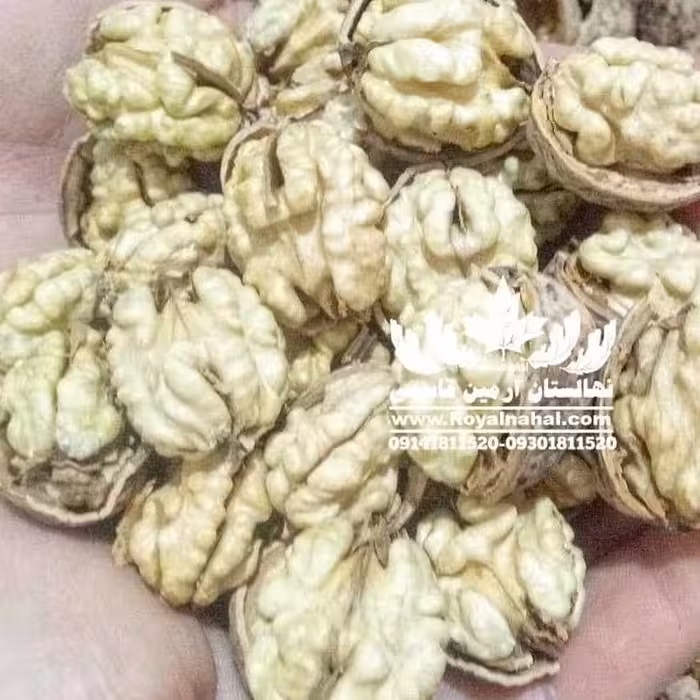 گردو ژنوتیپ رویال تیپ 7 (هزینه ارسال به عهده مشتری ،پسکرایه )