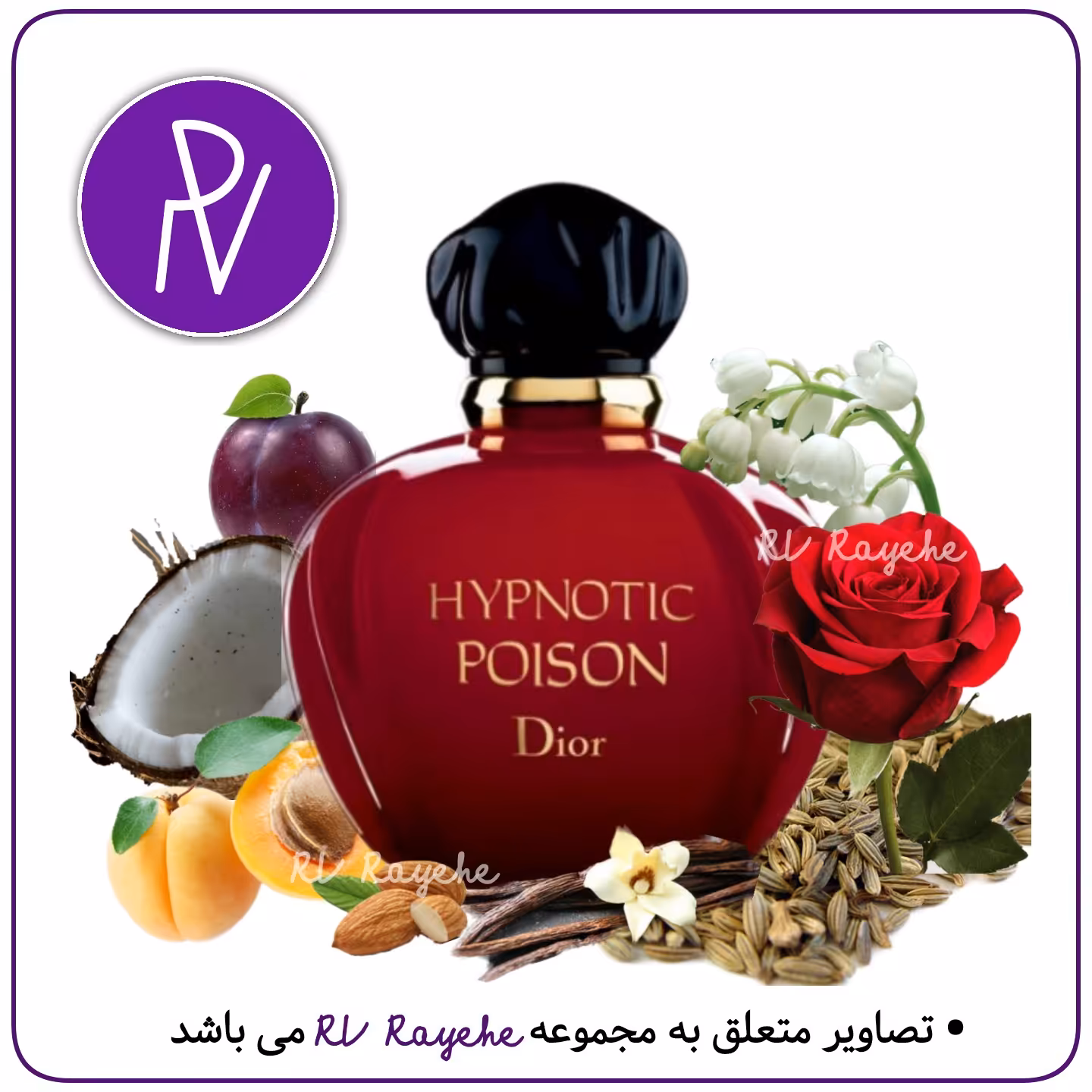 عطر پویزن هیپنوتیک   1 میل(گرم شیرین وانیلی) سویسی  فرانسوی -توضیحات مطالعه گردد.   RVrayehe  ادکلن هیپنوتیک پویزن