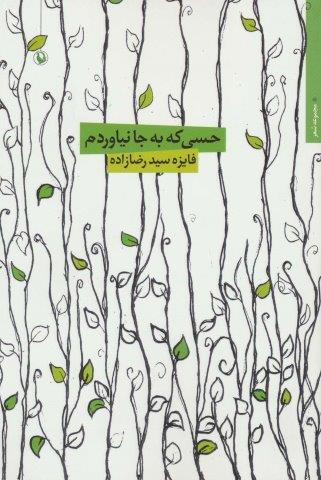 حسی که به جا نیاوردم (مجموعه شعر)