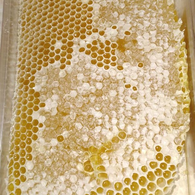 عسل ارگانیک موم دار