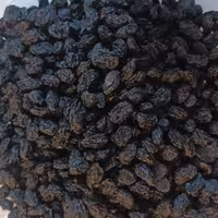 مویز سیاه بدون هسته امسالی (1402)با ارسال رایگان و تضمین کیفیت 