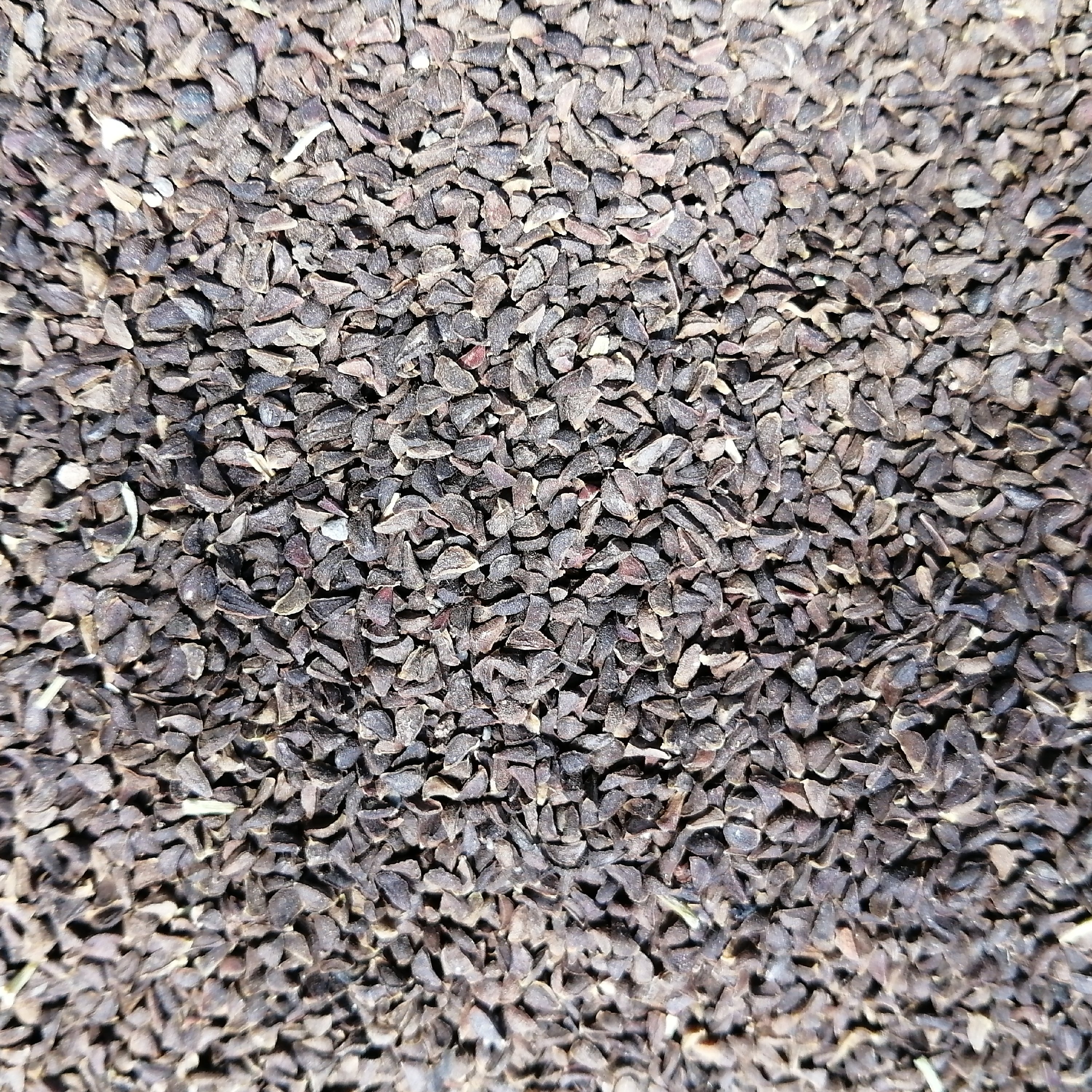 اسفند (سپنج) (نیم کیلو) سورت