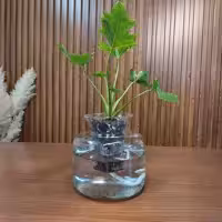 خودآبیار هوشمند گل و گیاه ادیب مدل آکواریومی