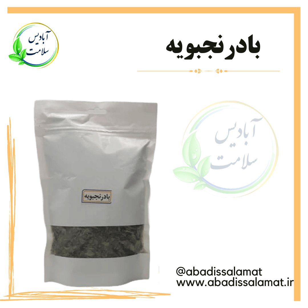 بادرنجبویه آبادیس 