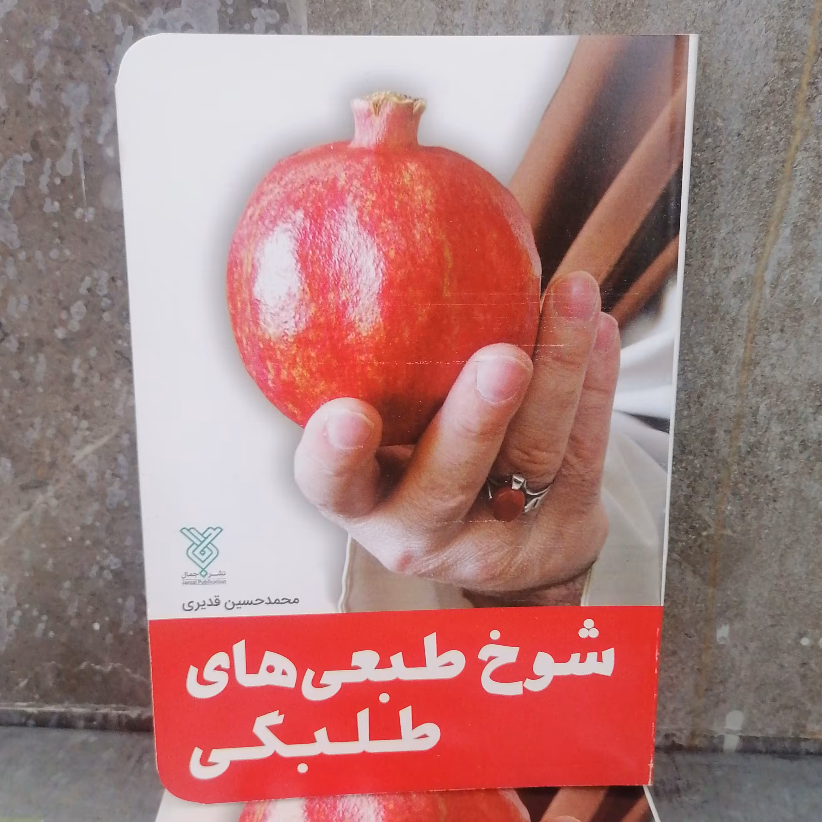 کتاب شوخ طبعی های طلبگی نوشته محمدحسین قدیری نشر جمال
