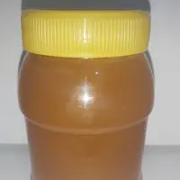 عسل وحشی کوهستان فارس زنبور درشت خاص و پرقدرت همراه گرده گل های وحشی جنگل و کوهستان و تنه درخت نیم کیلویی
