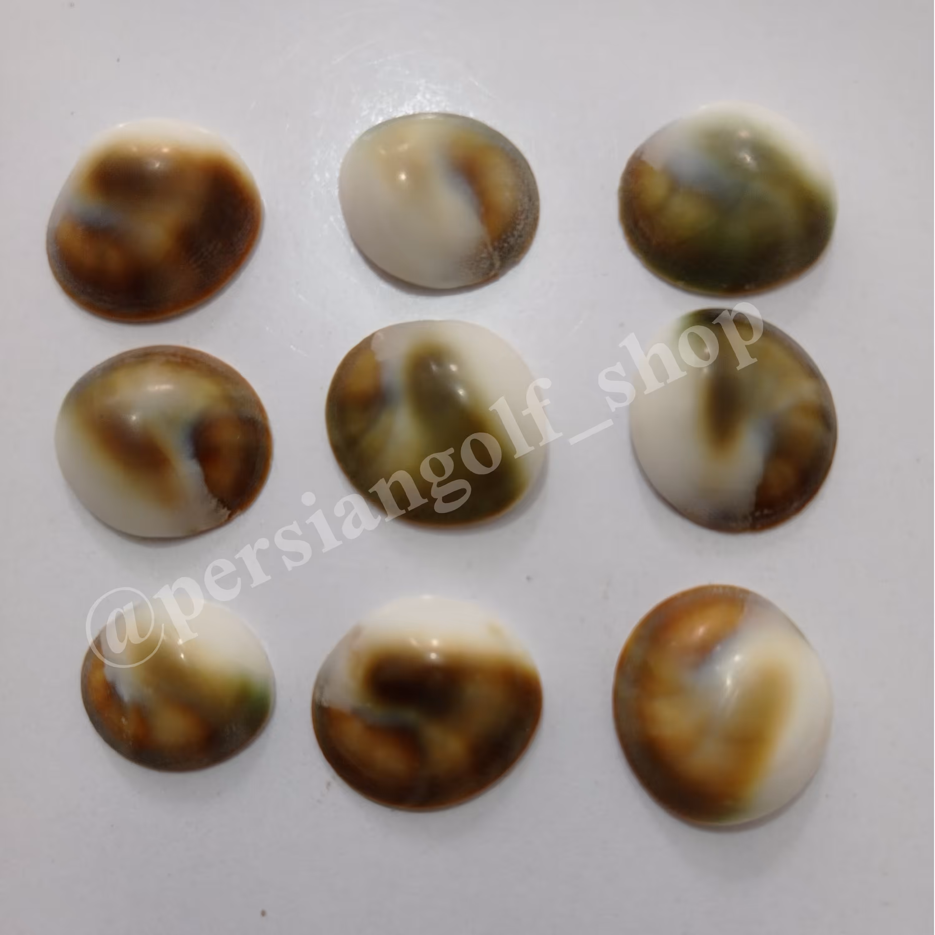 مهره صدفی یا درپوش صدف دریایی طبیعی کد 1