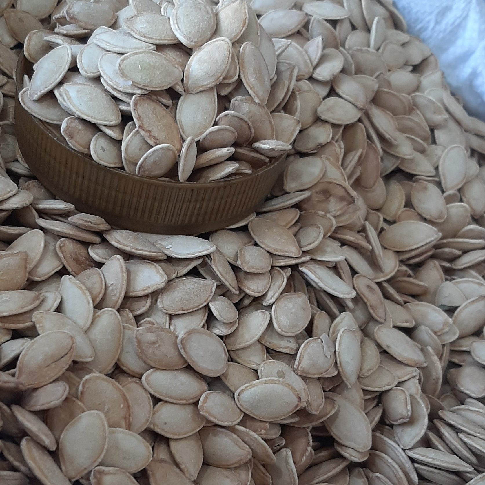 کدو گوشتی(850گرم)