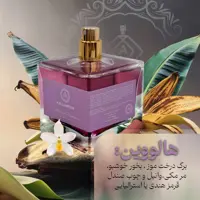 عطر ادکلن هالووین بنفش زنانه  Halloween women
