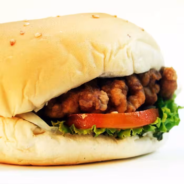 ادویه برگرسوئدی اسموکی500گرم(کاروئل اسپایس)