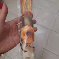 پک مدارس میوه خشک  هر پک 38 گرمی آسا  حداقل تعداد 10  عدد