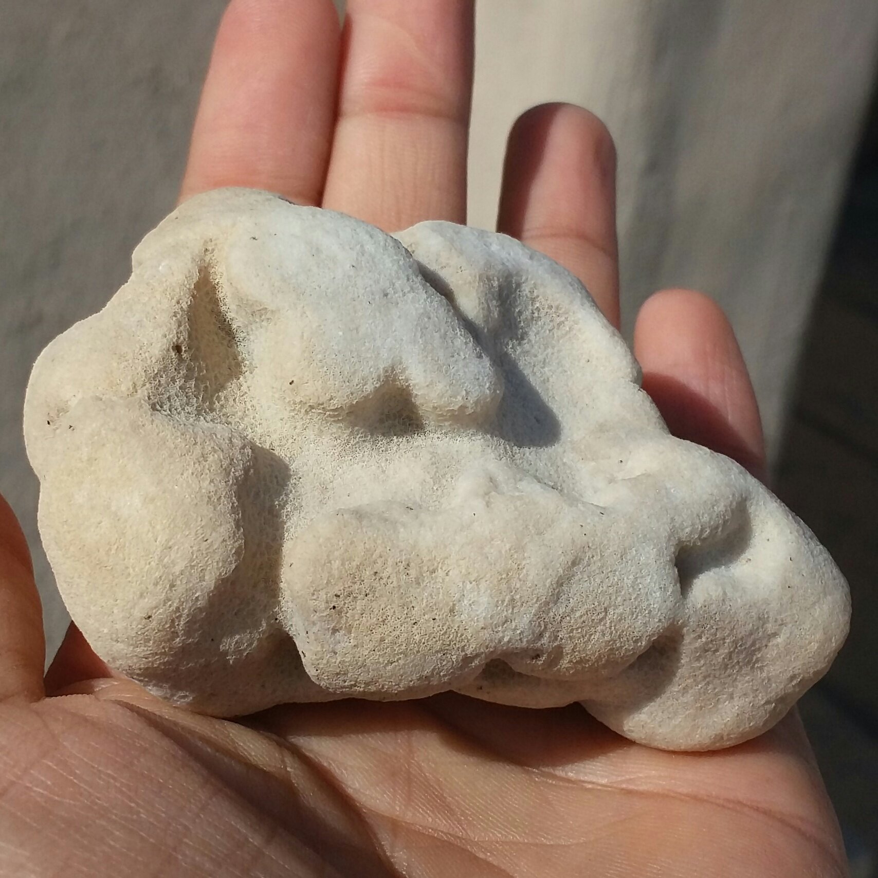 مرجان دریایی محشر دیدنی کاملا طبیعی
مناسب جهت دکور و تزیین
فوق العاده زیبا 
کد 10134