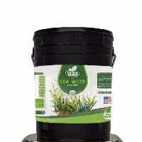 کود جلبک دریایی شوک آمریکایی مایع 20 لیتری