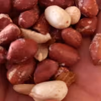 بادام زمینی یک کیلویی