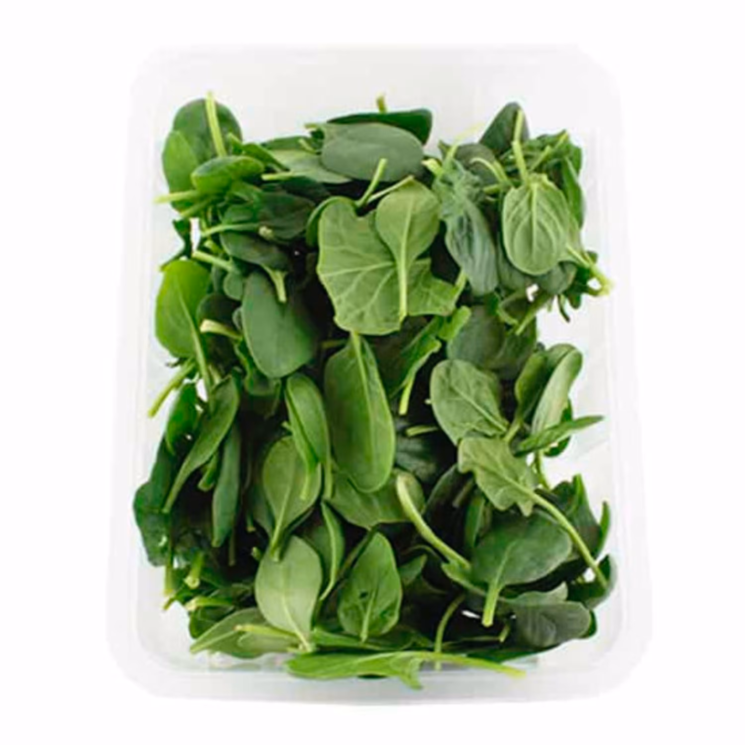 بیبی اسفناج - 600 گرم