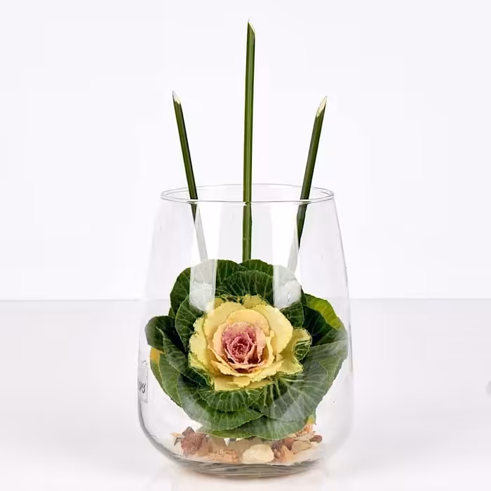 گلدان ویونا