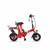 دوچرخه برقی Theli 500